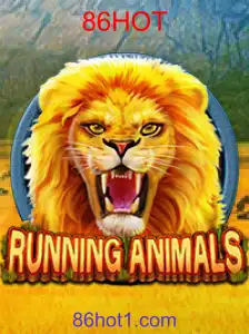 RunningAnimals
